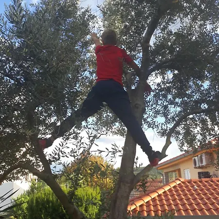 Otok Krk Apartmán Čižići