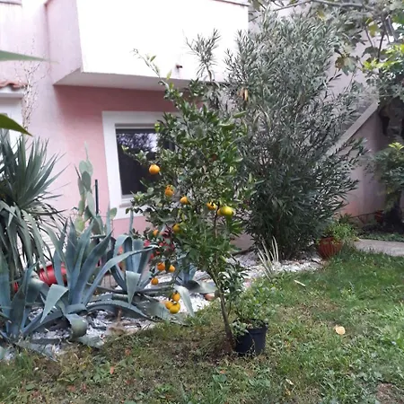 Otok Krk Čižići