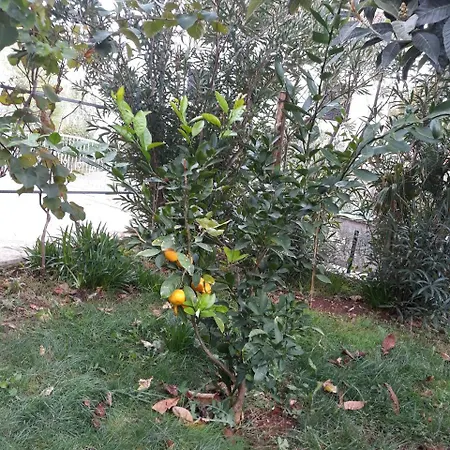 Apartmán Otok Krk *