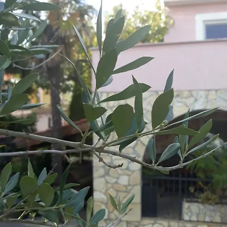 Otok Krk * Čižići