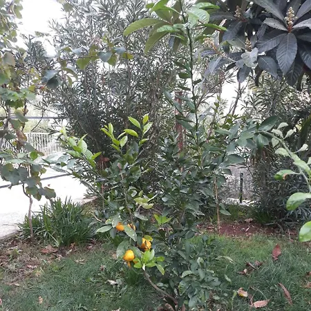 Otok Krk Apartmán *