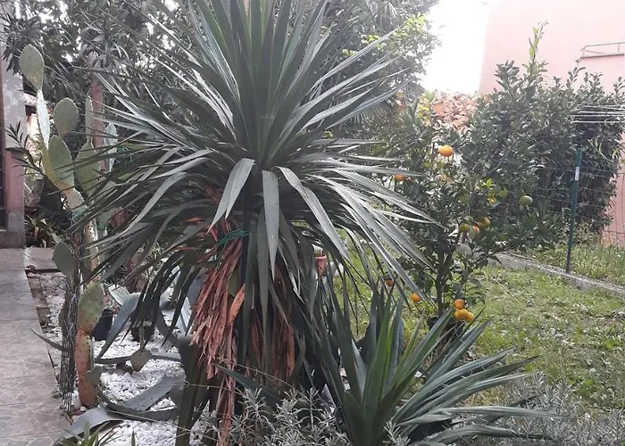 Apartment Otok Krk *