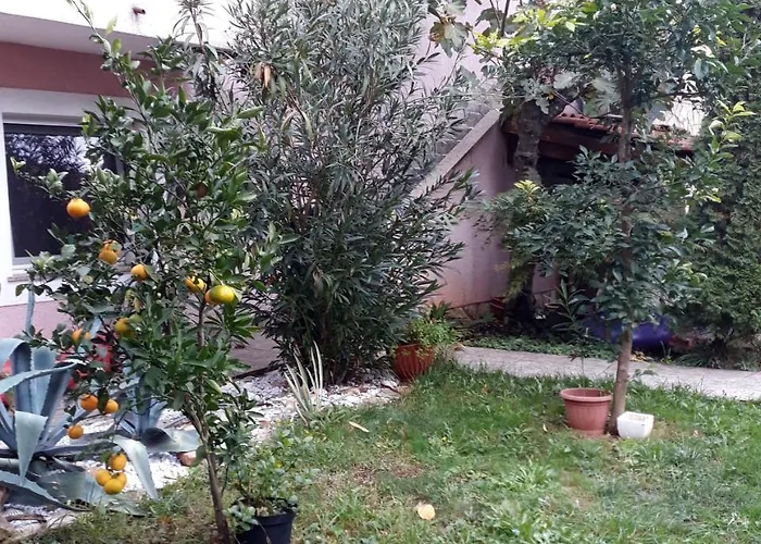 Apartment Otok Krk