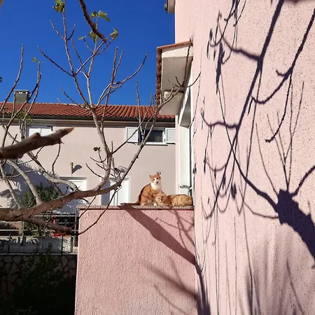 Otok Krk Čižići